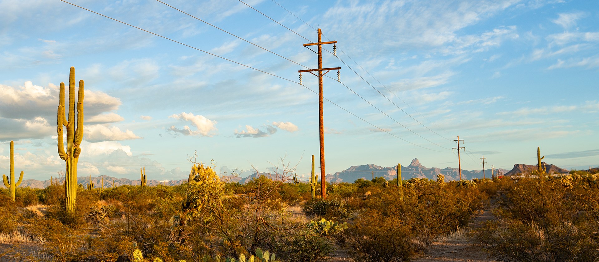 Lighting up the Desert Nation